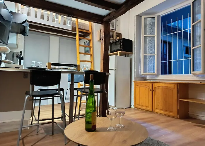 아파트 Le Nid Des Marmottes, Hyper Centre, Draps Et Serviettes Fournies *