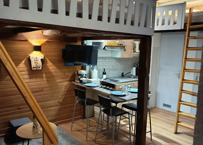 Le Nid Des Marmottes, Hyper Centre, Draps Et Serviettes Fournies *